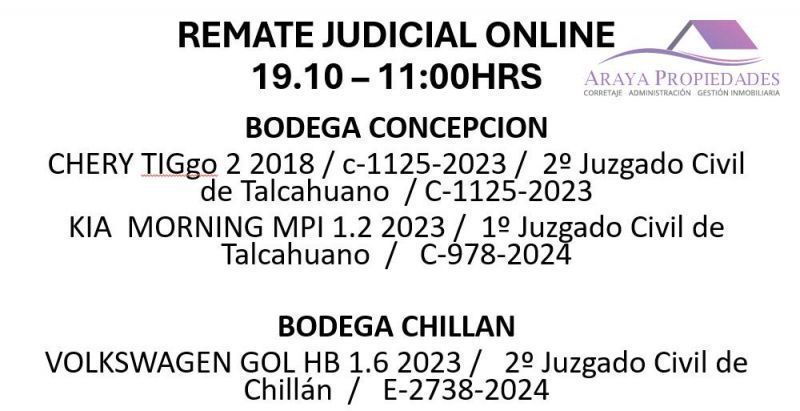 REMATE JUDICIAL 19.10 CONCEPCION Y CHILLAN